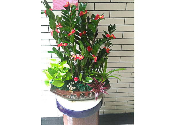 浪漫花坊7