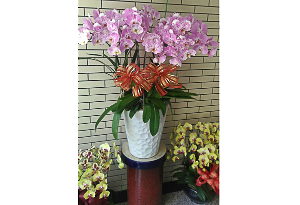 浪漫花坊12