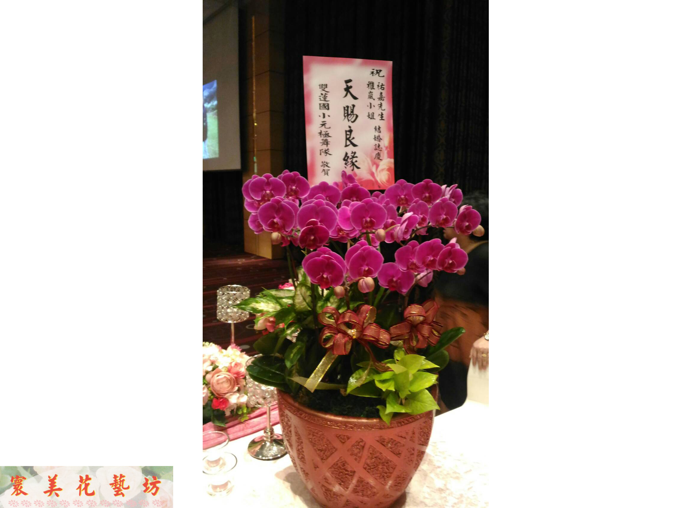 各式花卉9