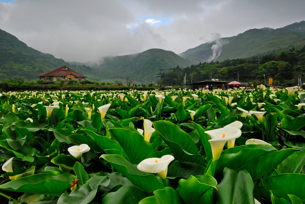 陽明山國家公園