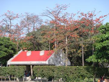 台北青年公園