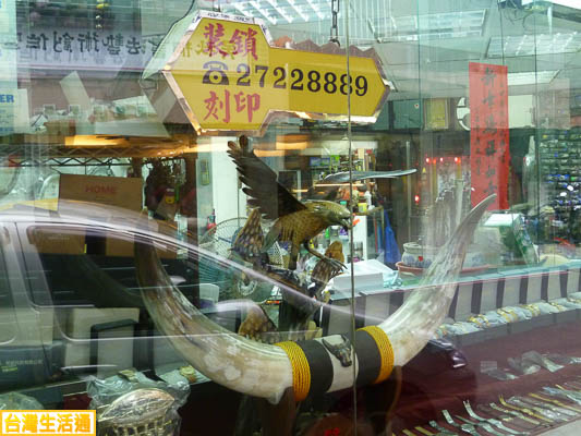正時裝鎖刻印鐘錶店櫥窗3